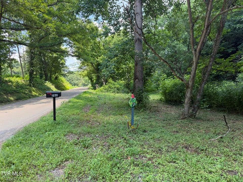 Vacant Land For Sale - 701 Old Witt Road<br/> Morristown, TN 37813