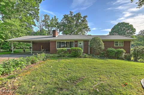 Photo of 3060 Shipley Street, Kingsport, TN 37664 (MLS # 9995668)