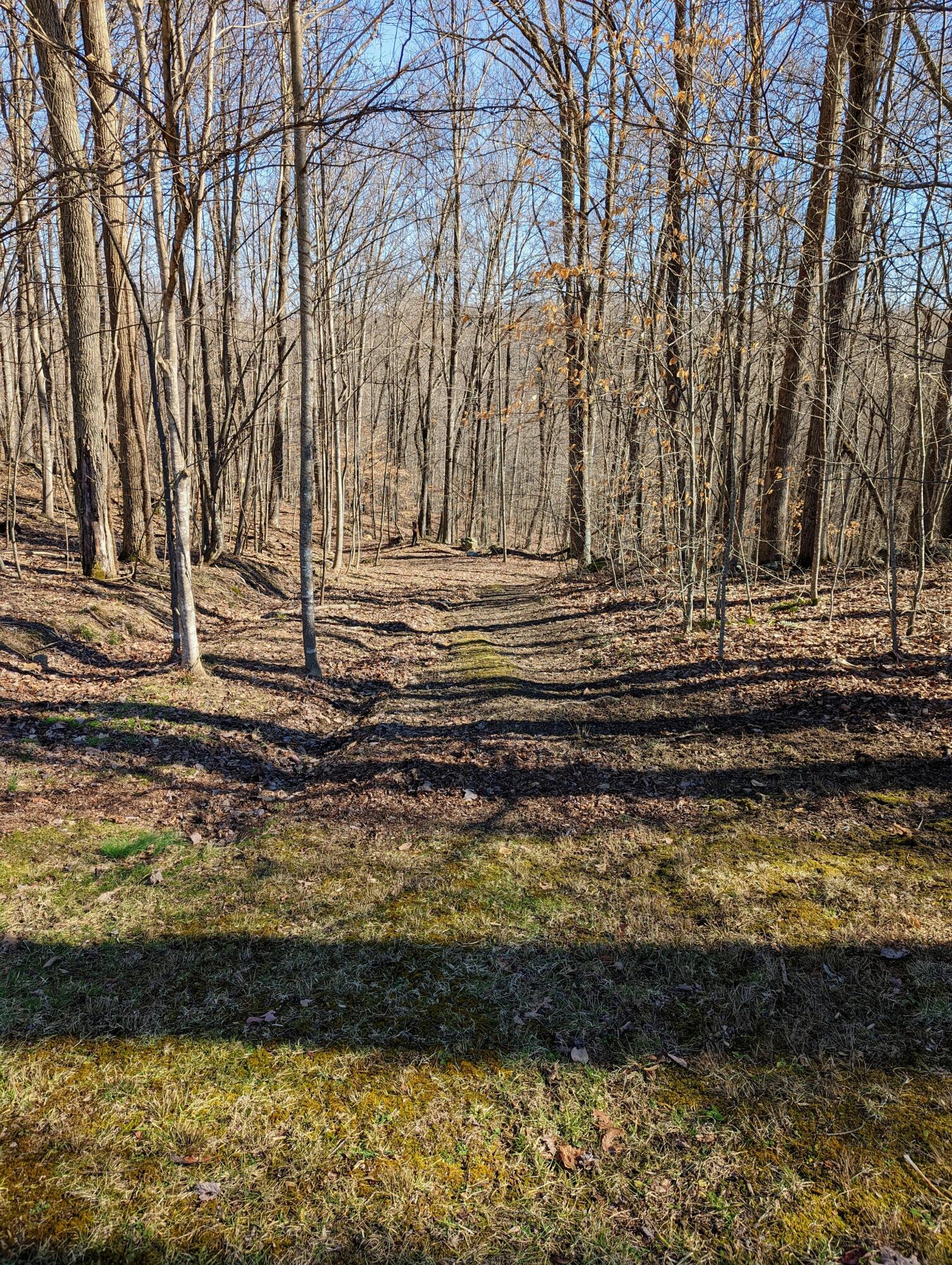 Tbd Crack Rock Road, Clintwood, Virginia image 6