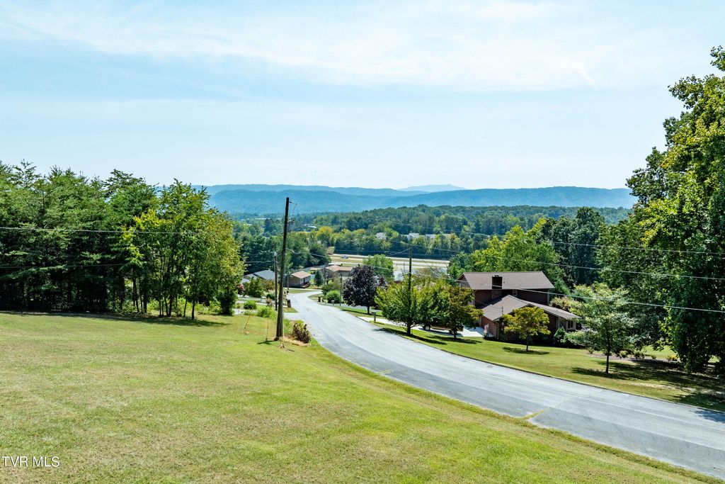 Photo of 214 Bernard Avenue, Church Hill, TN 37642 (MLS # 9991846)