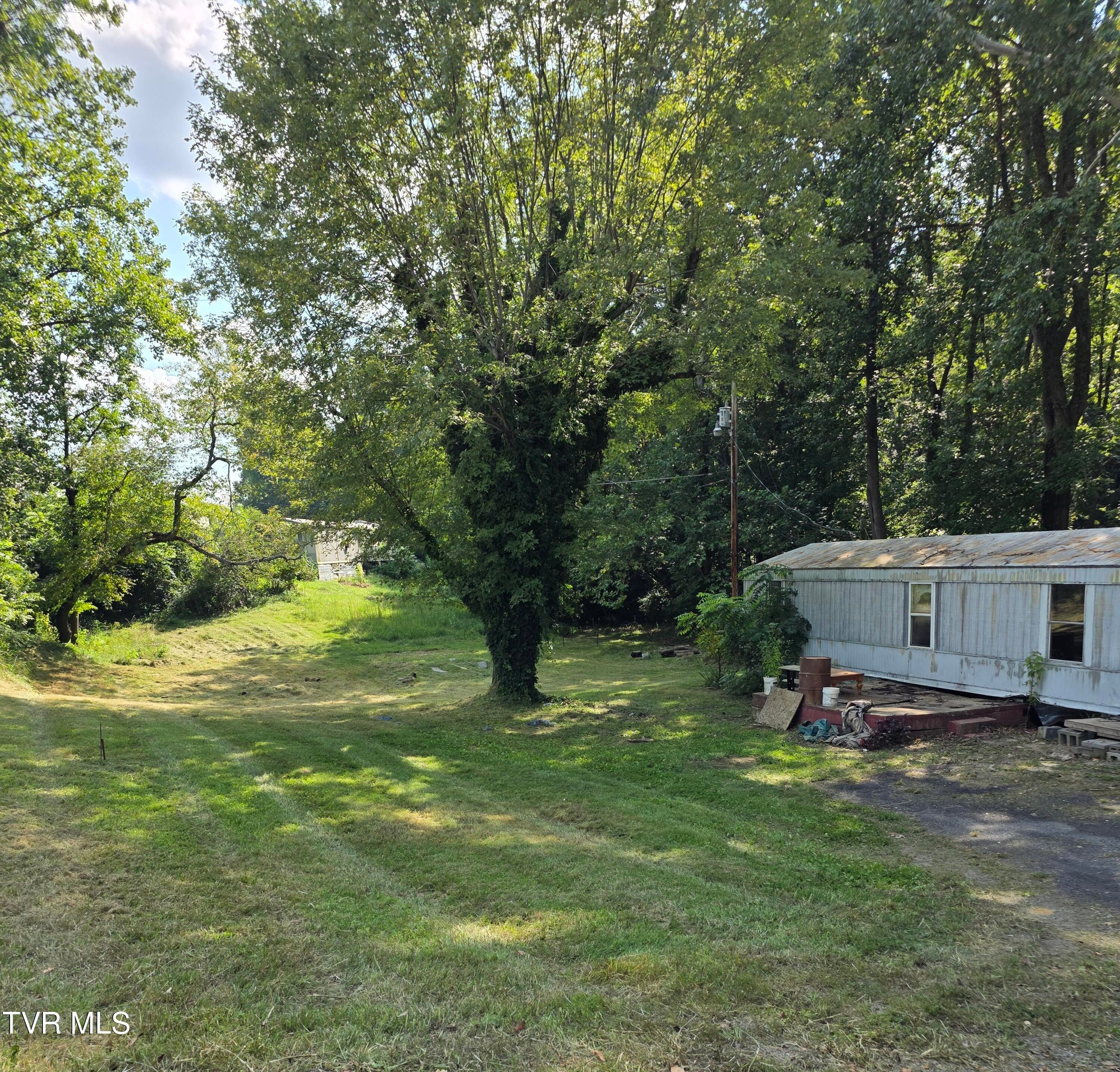 888 Old Elizabethton Highway - Photo 2