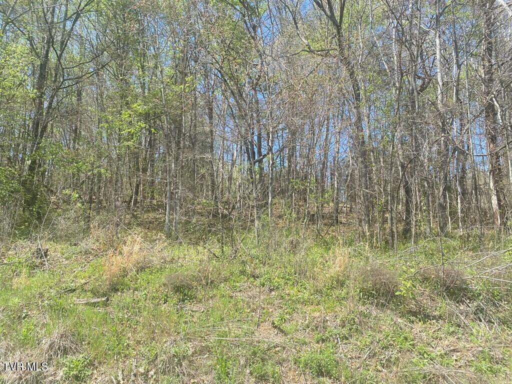 Lot 24 Tanasi Dr Drive, Newport, Tennessee image 4