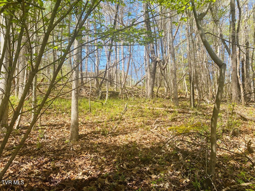 Lot 24 Tanasi Dr Drive, Newport, Tennessee image 2