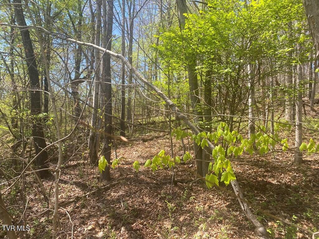 Lot 24 Tanasi Dr Drive, Newport, Tennessee image 3