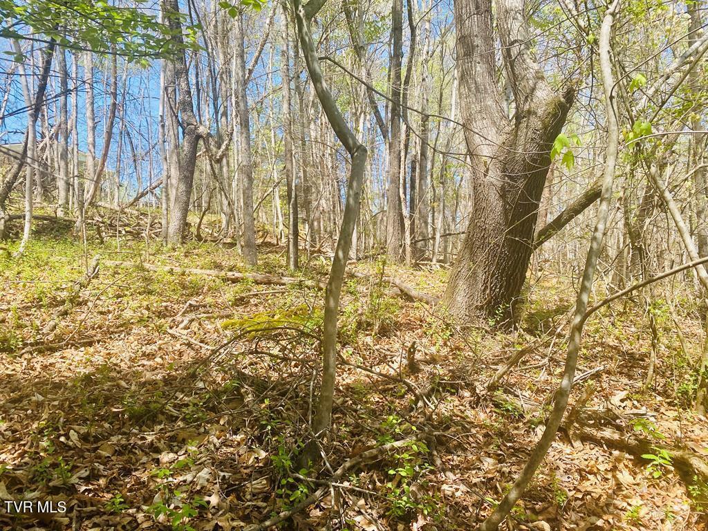 Lot 24 Tanasi Dr Drive, Newport, Tennessee image 6