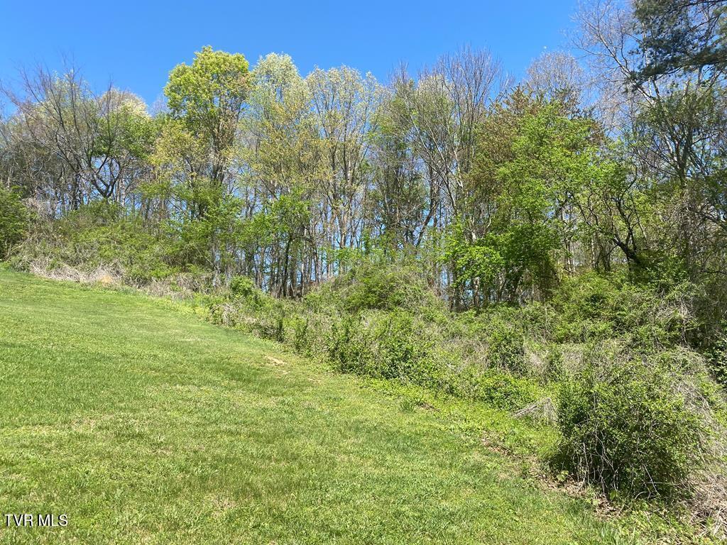 Lot 24 Tanasi Dr Drive, Newport, Tennessee image 5