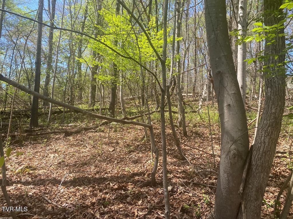 Lot 24 Tanasi Dr Drive, Newport, Tennessee image 1