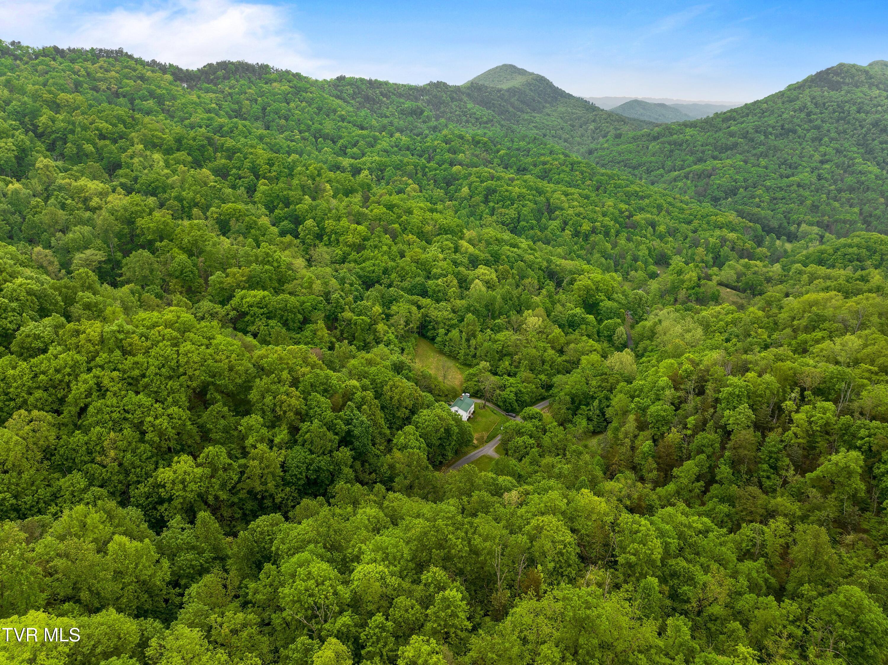 Tract 4 Sandy Valley Road, Rogersville, Tennessee image 4