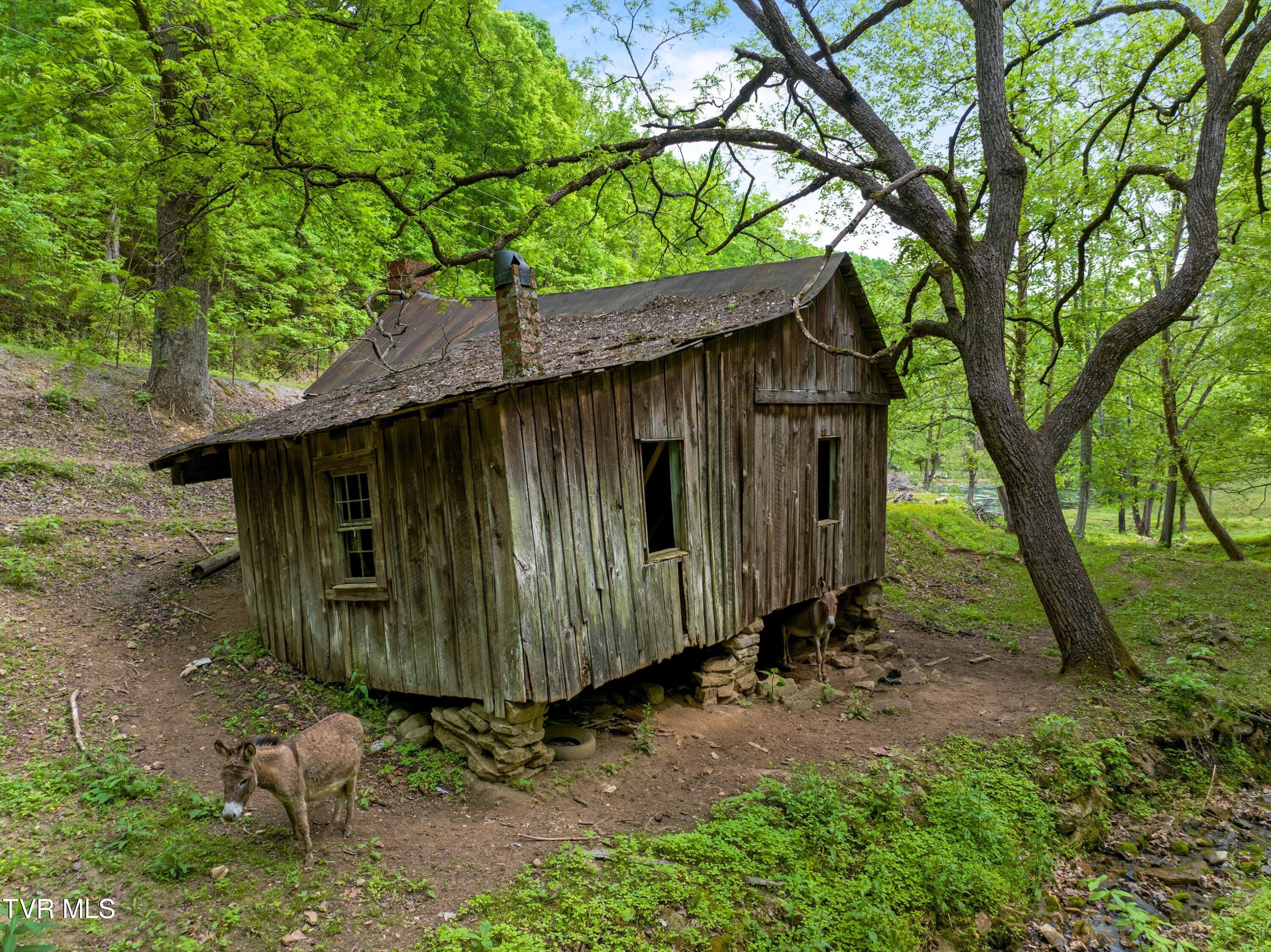 Tract 4 Sandy Valley Road, Rogersville, Tennessee image 8