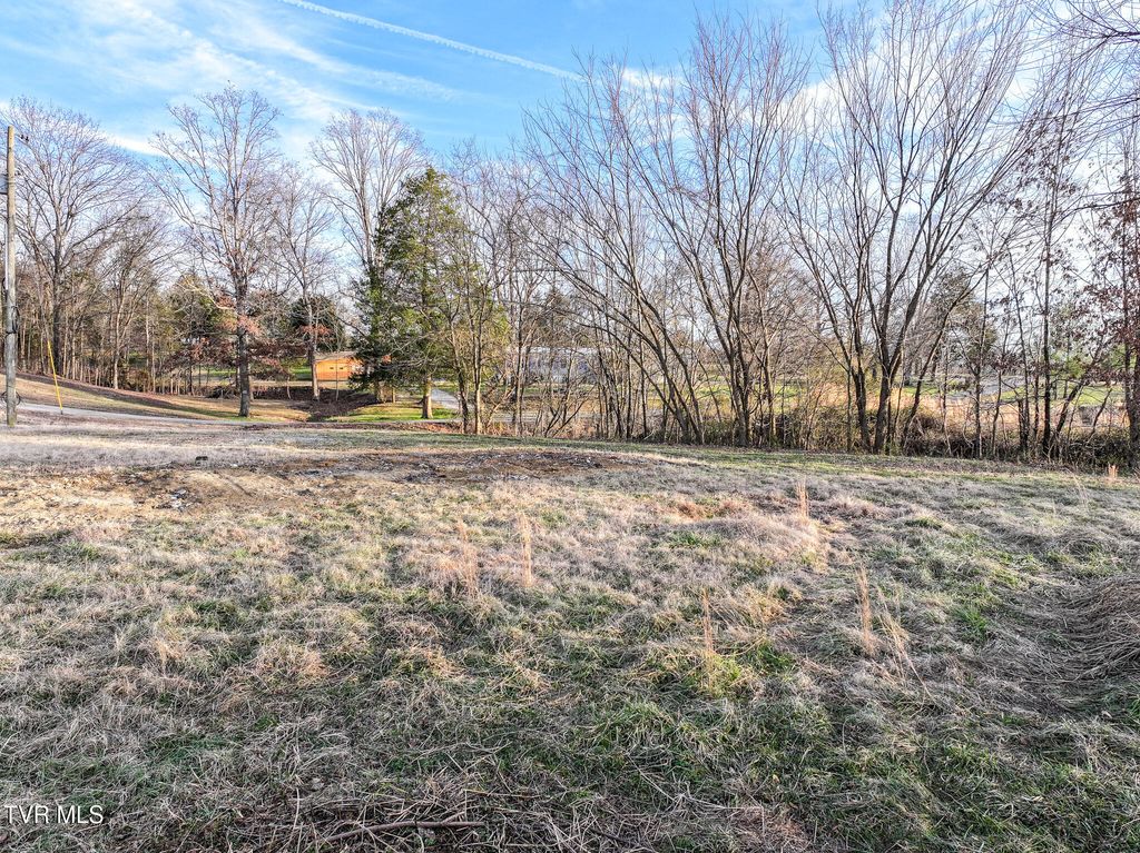 Photo of 138 Logan Lane, Whitesburg, TN 37891 (MLS # 9989961)