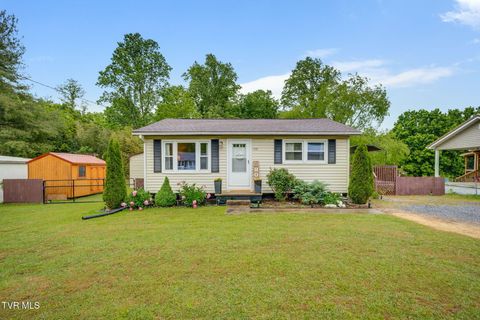 1510 Sylvan Street Johnson City TN 37604