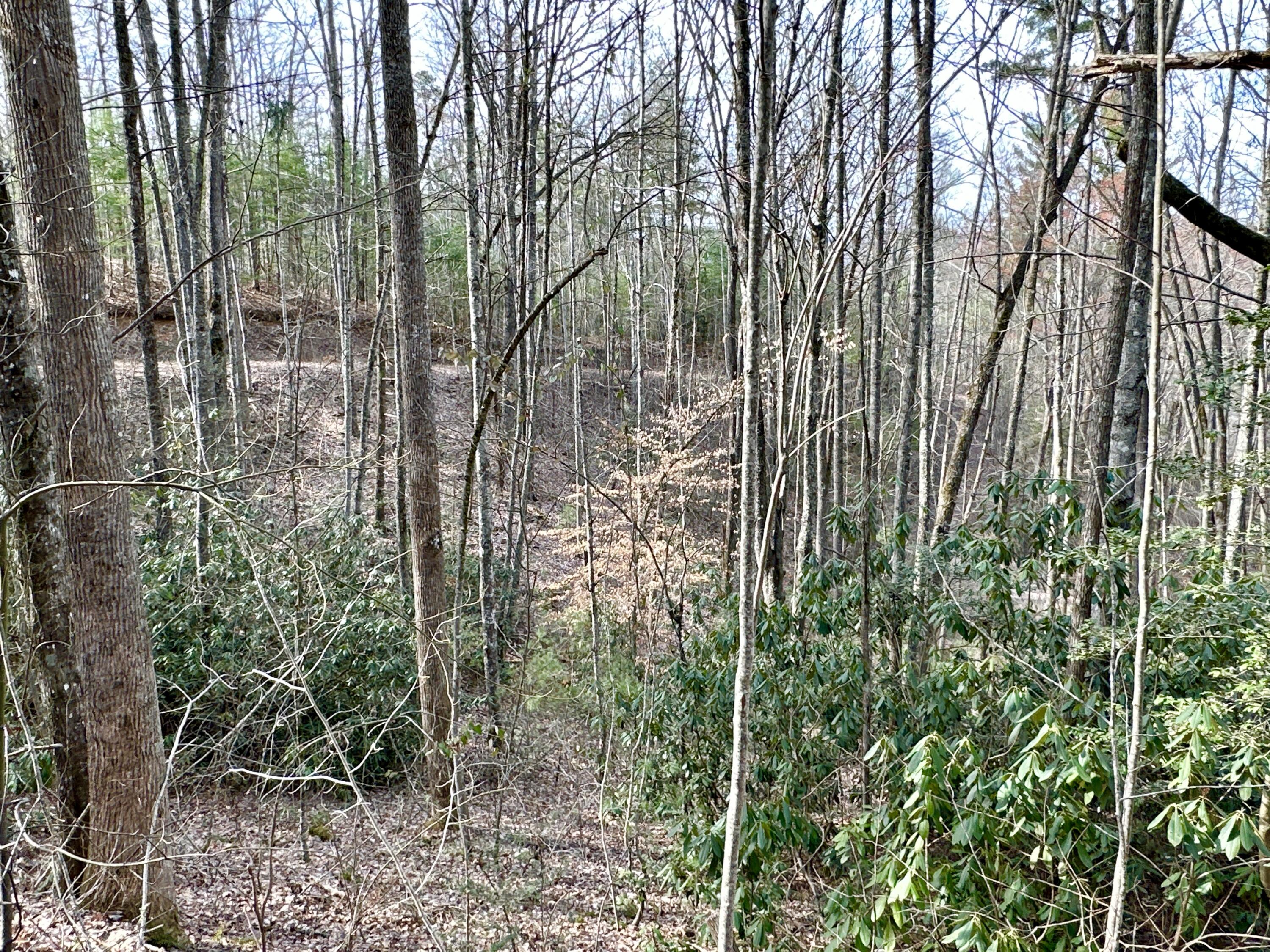 Lot 23 Clydesdale Way, Del Rio, Tennessee image 4