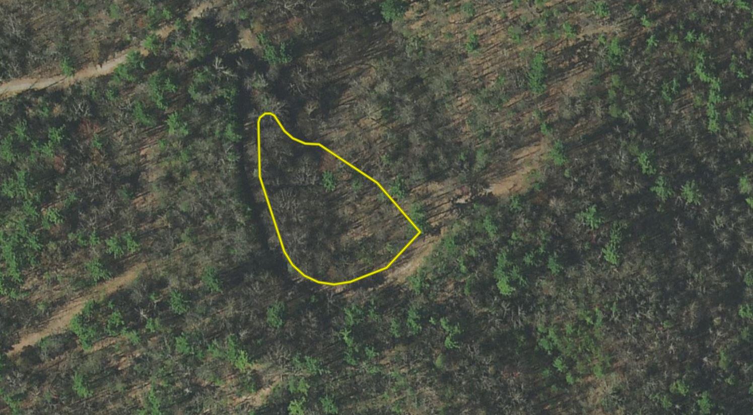 Lot 23 Clydesdale Way, Del Rio, Tennessee image 1