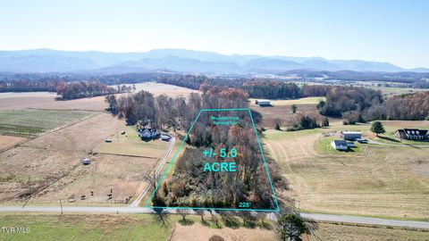 Vacant Land For Sale - 190 Treadway Rd Rd<br/> Chuckey, TN 37641