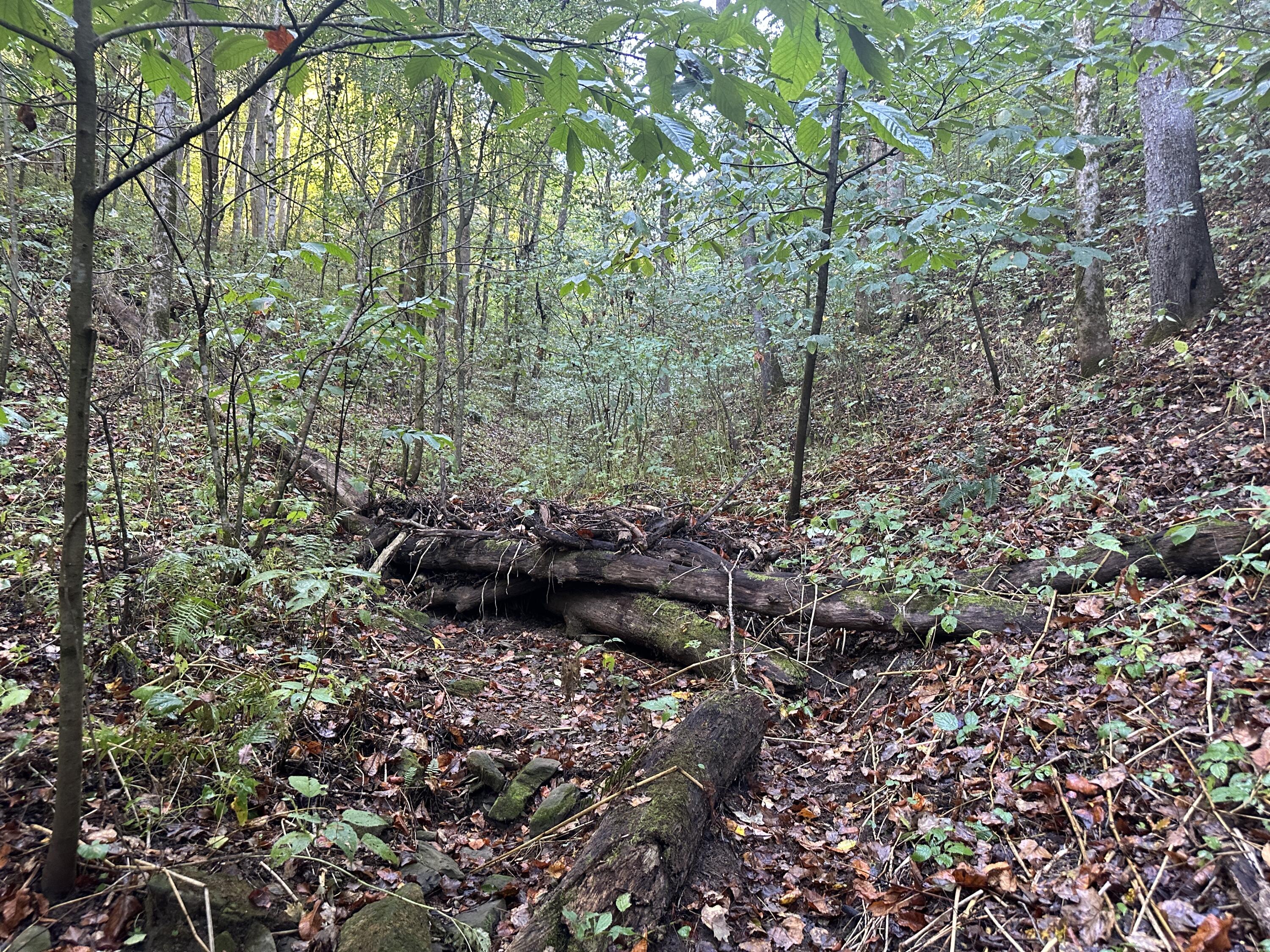 Tbd Holt Town Rd Off, Newport, Tennessee image 35