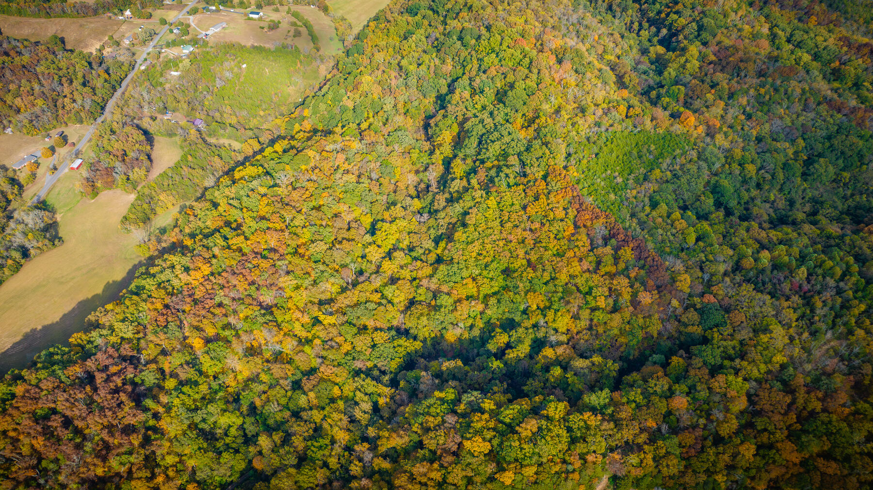 Tbd Holt Town Rd Off, Newport, Tennessee image 11