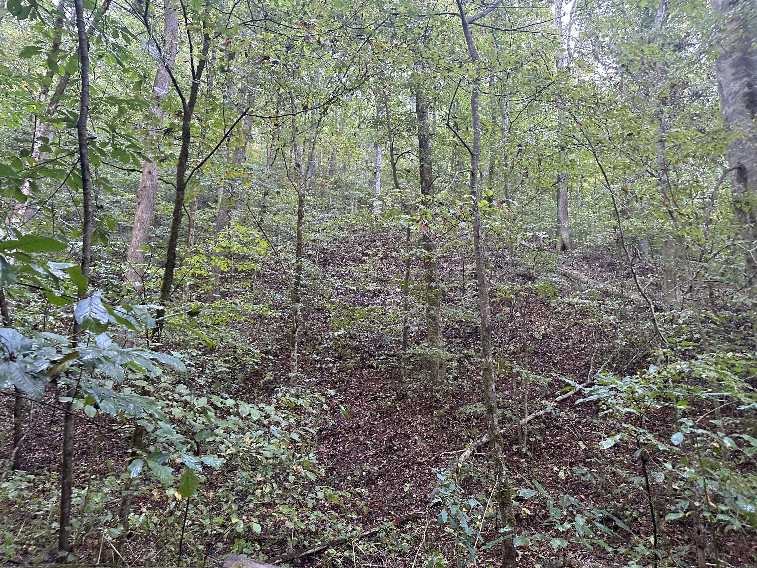 Tbd Holt Town Rd Off, Newport, Tennessee image 31