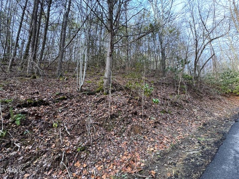Vacant Land For Sale - LOT 10 Black Gum Gap Road<br/> Gatlinburg, TN 37738