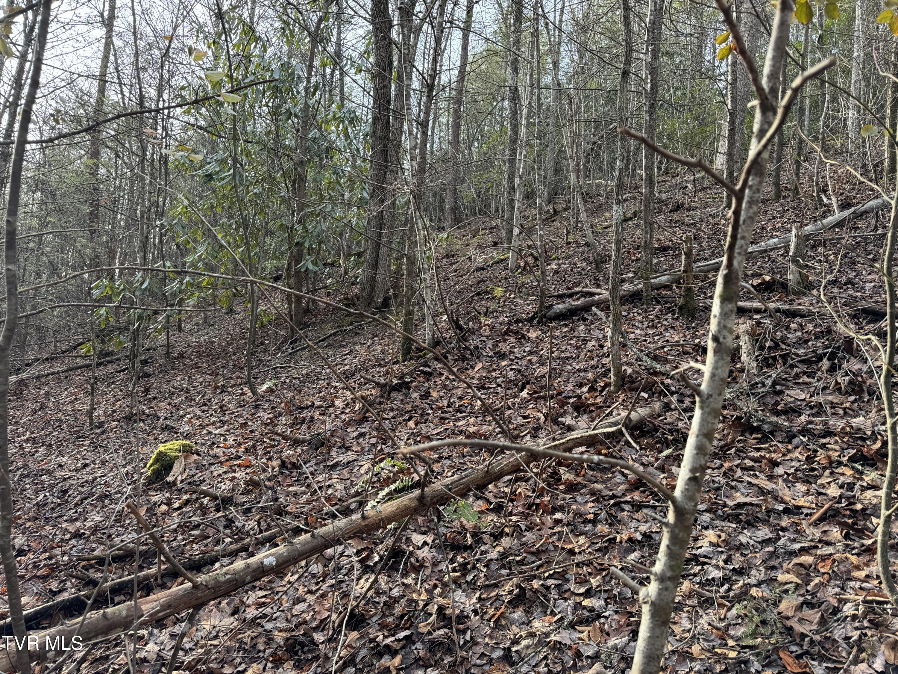 Lot 10 Black Gum Gap Road, Gatlinburg, Tennessee image 5