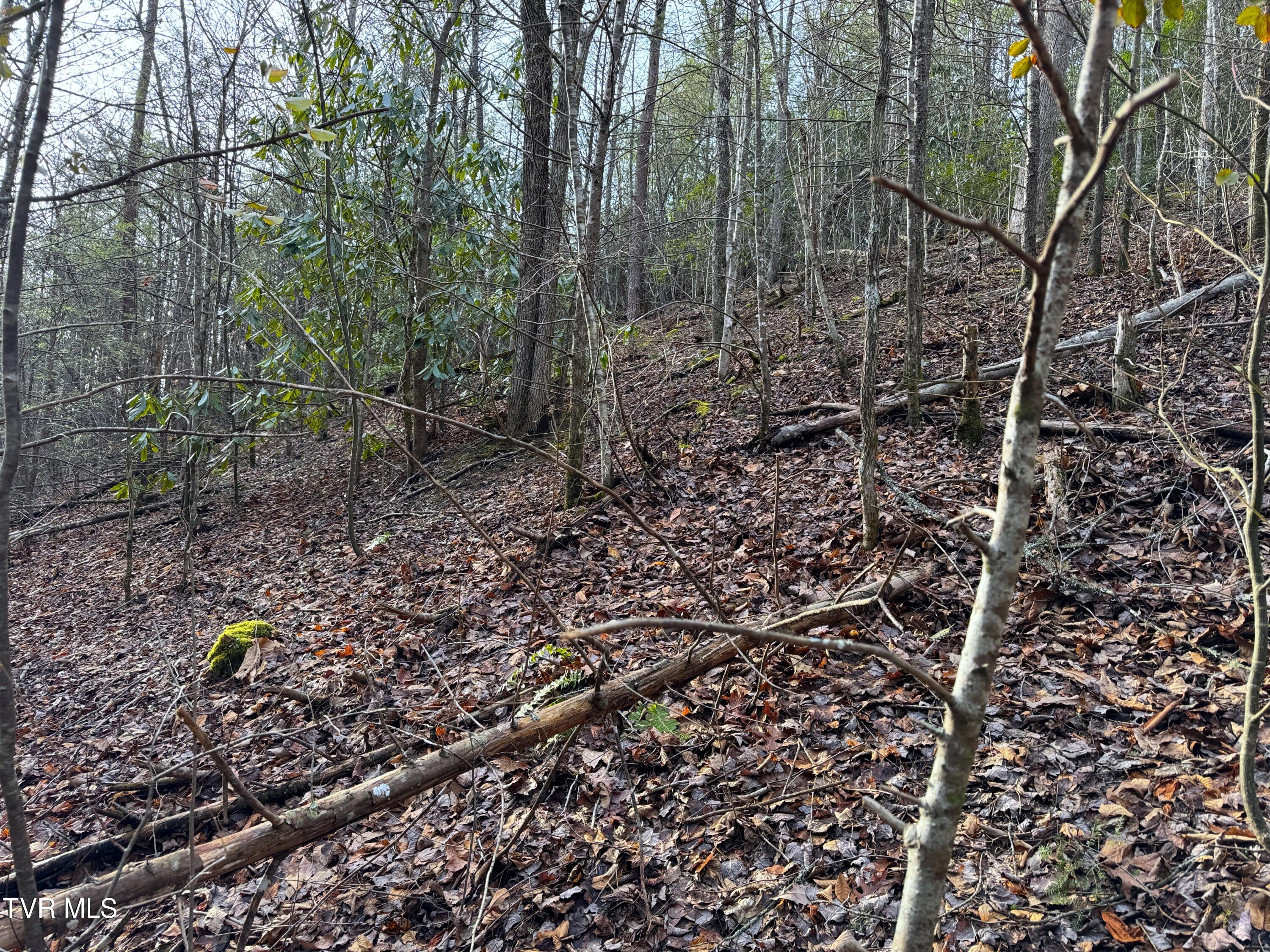 Lot 10 Black Gum Gap Road, Gatlinburg, Tennessee image 4