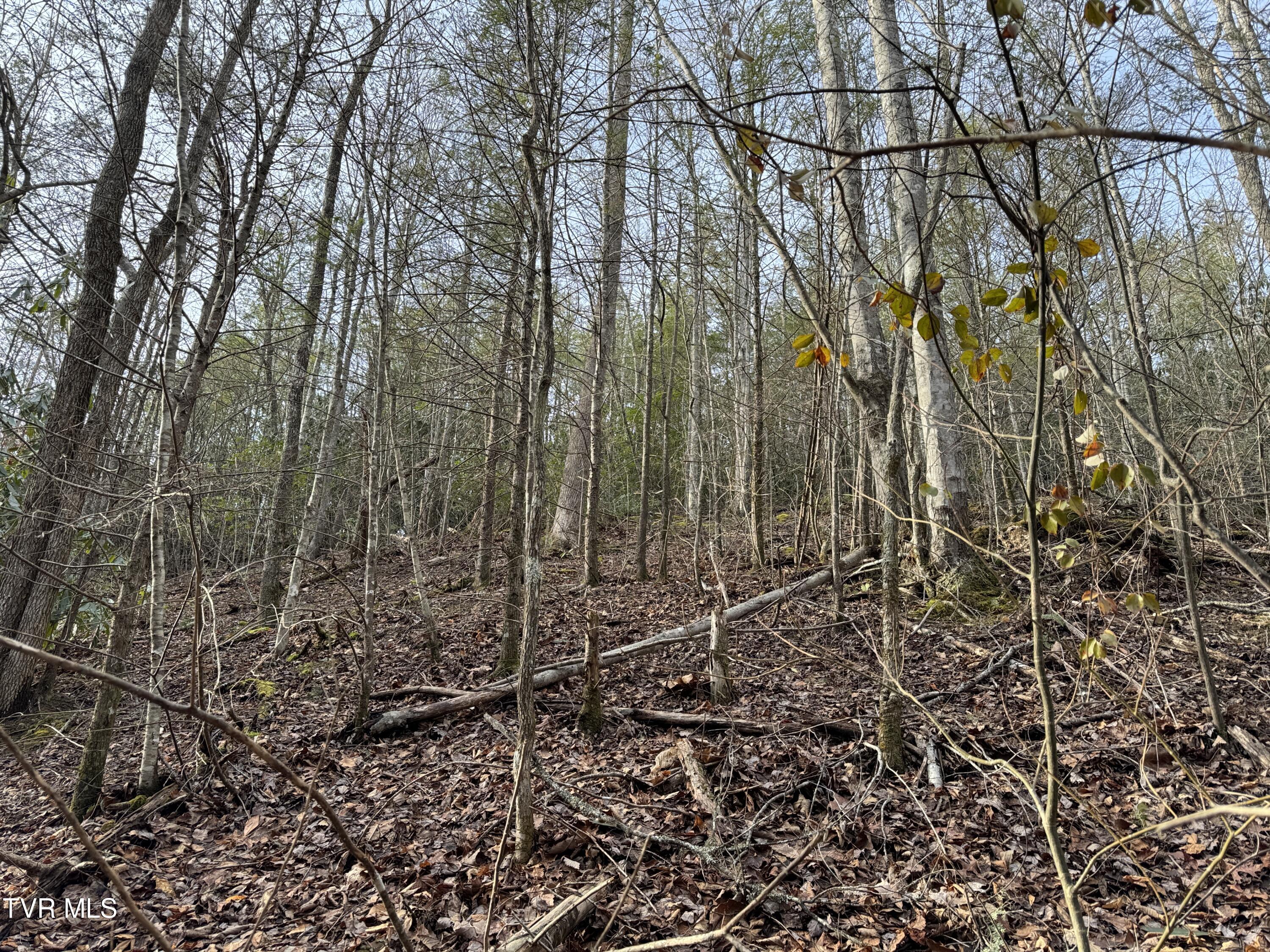 Lot 10 Black Gum Gap Road, Gatlinburg, Tennessee image 6