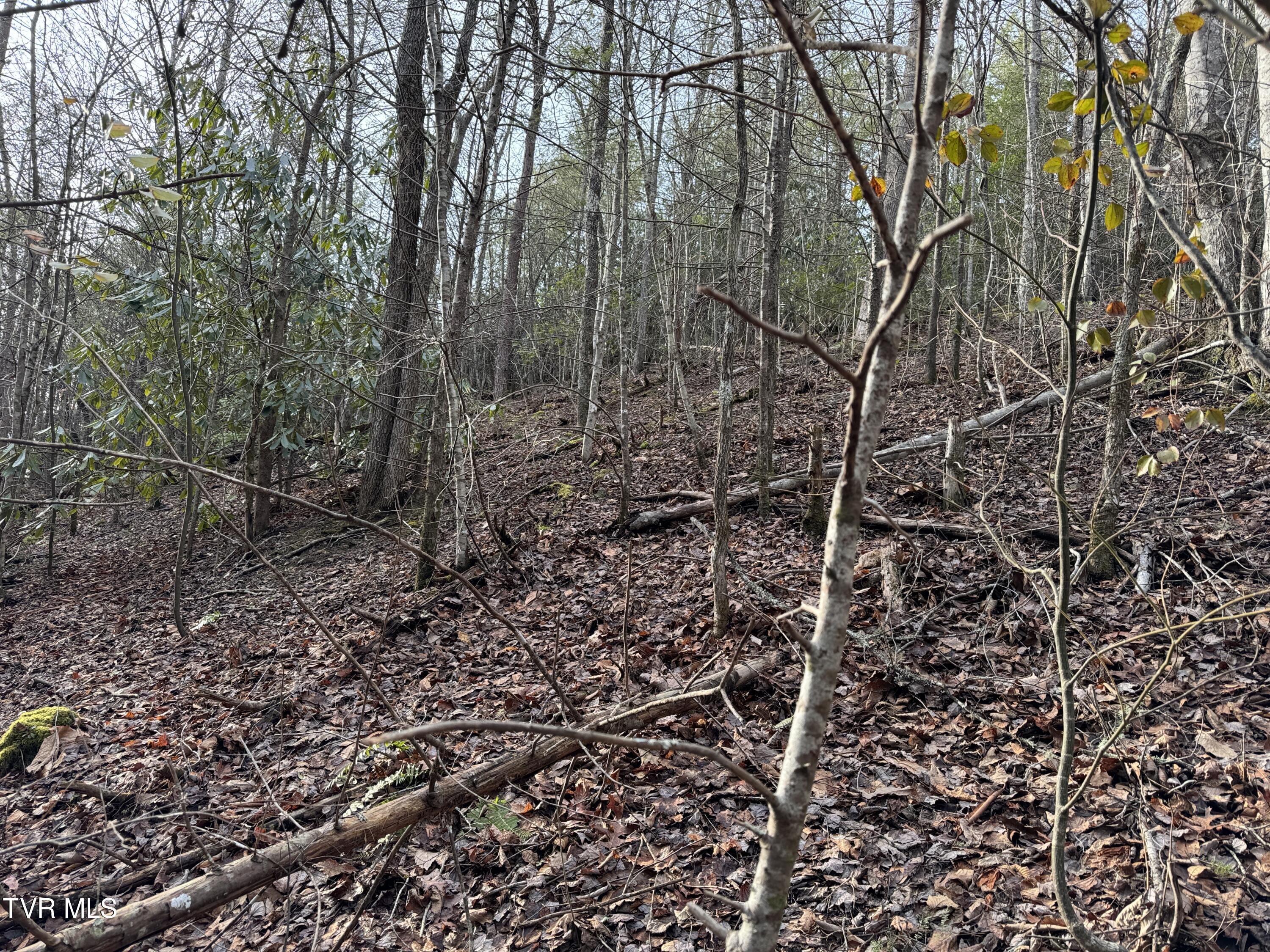 Lot 10 Black Gum Gap Road, Gatlinburg, Tennessee image 3