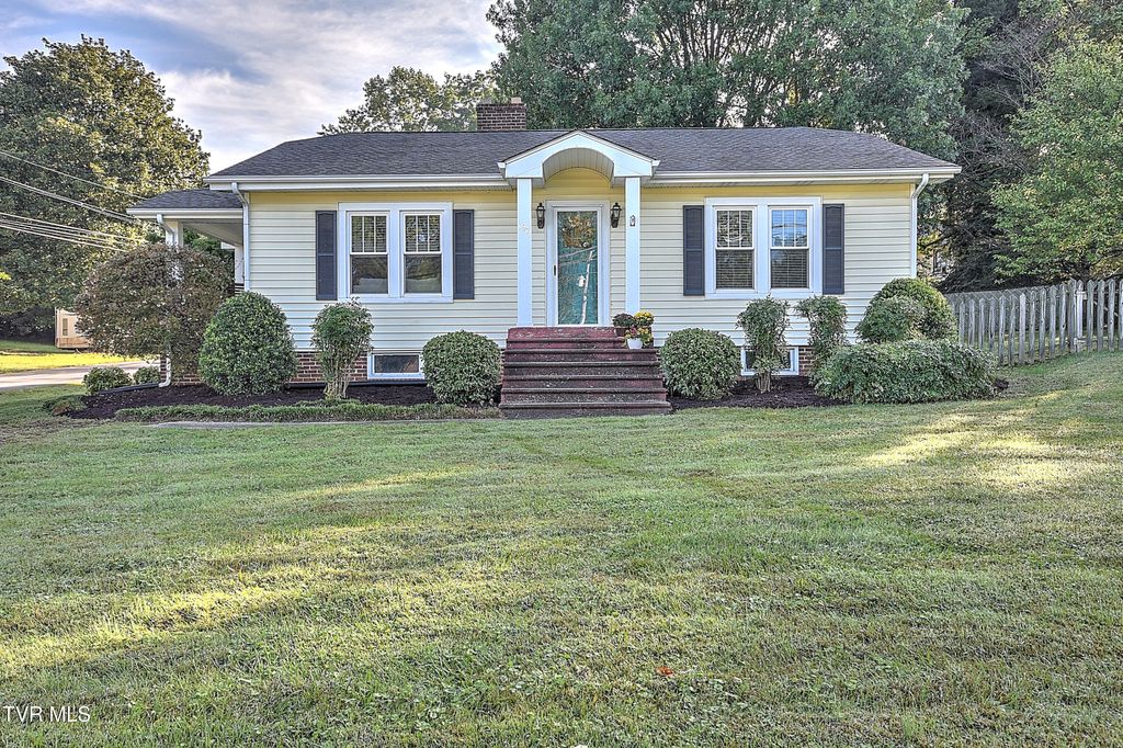 Photo of 197 Woodland Drive, Johnson City, TN 37601 (MLS # 9987083)