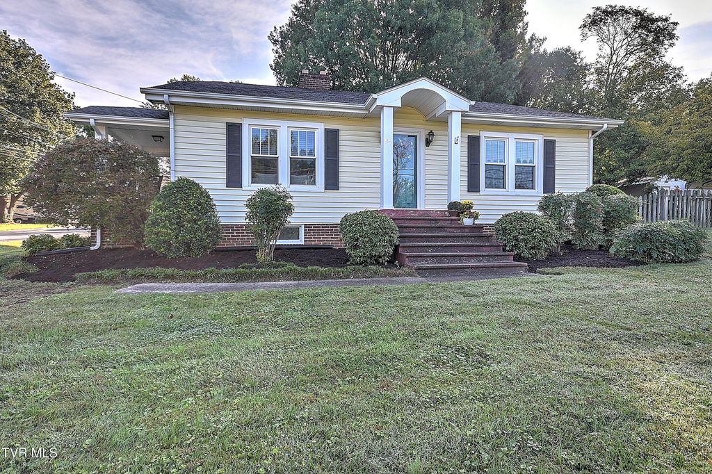 Photo of 197 Woodland Drive, Johnson City, TN 37601 (MLS # 9987083)