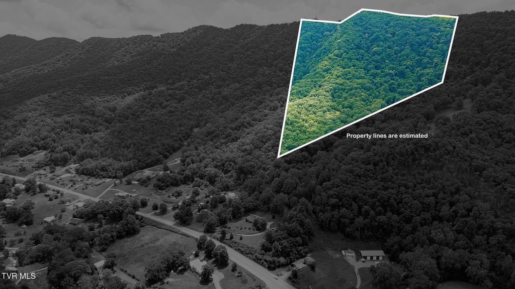 Photo of 0 Nickelsville Highway, Gate City, VA 24251 (MLS # 9982585)