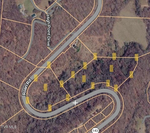 Vacant Land For Sale - TBD Highway 143<br/> Roan Mountain, TN 37687