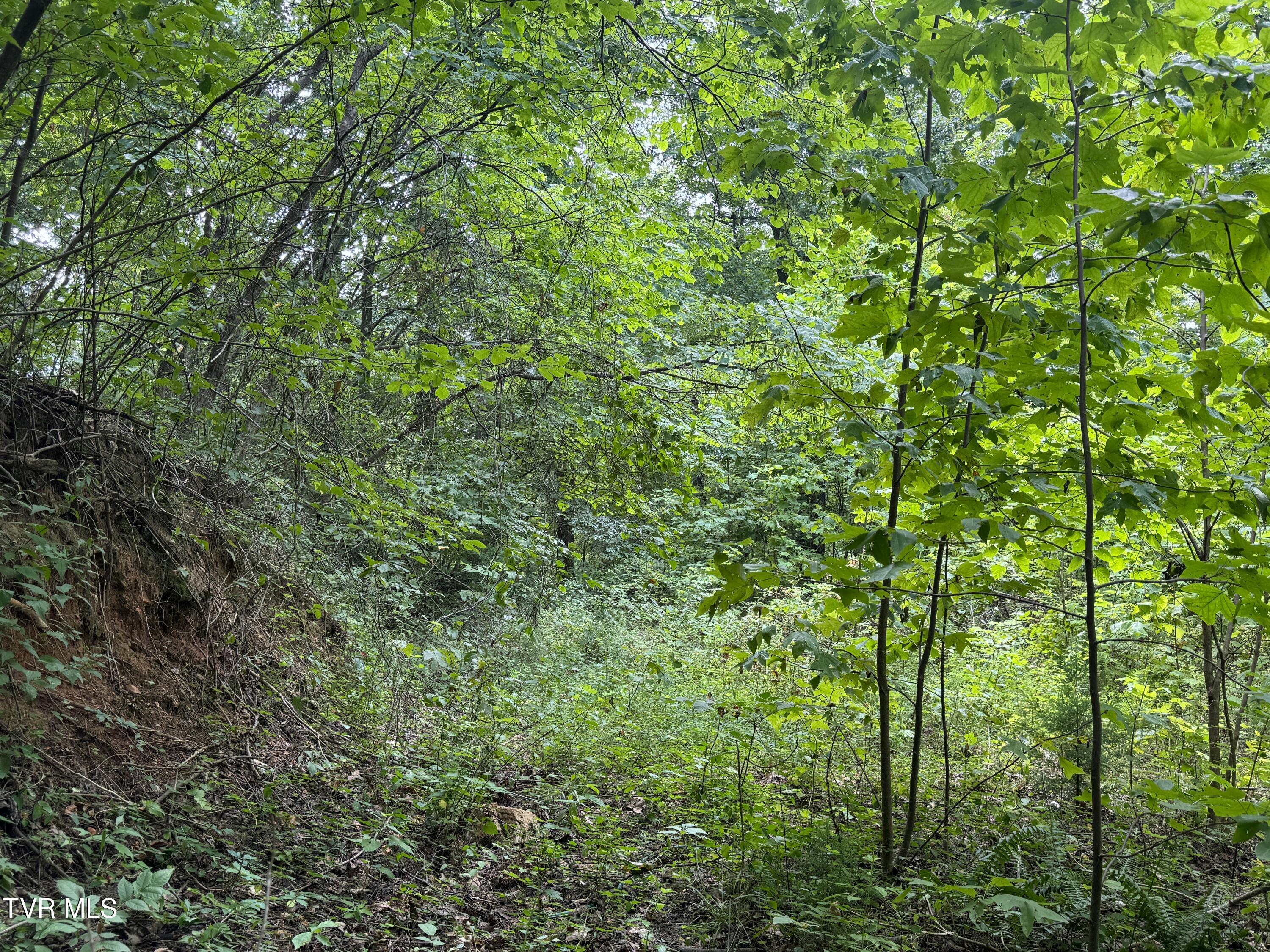 1884 Woodland Way, Newport, Tennessee image 20