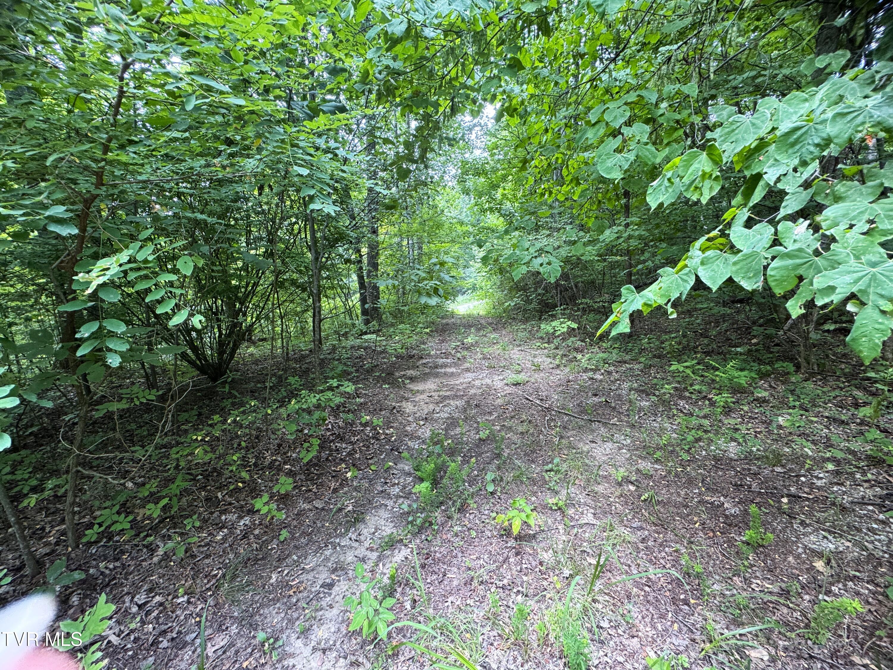 1884 Woodland Way, Newport, Tennessee image 15