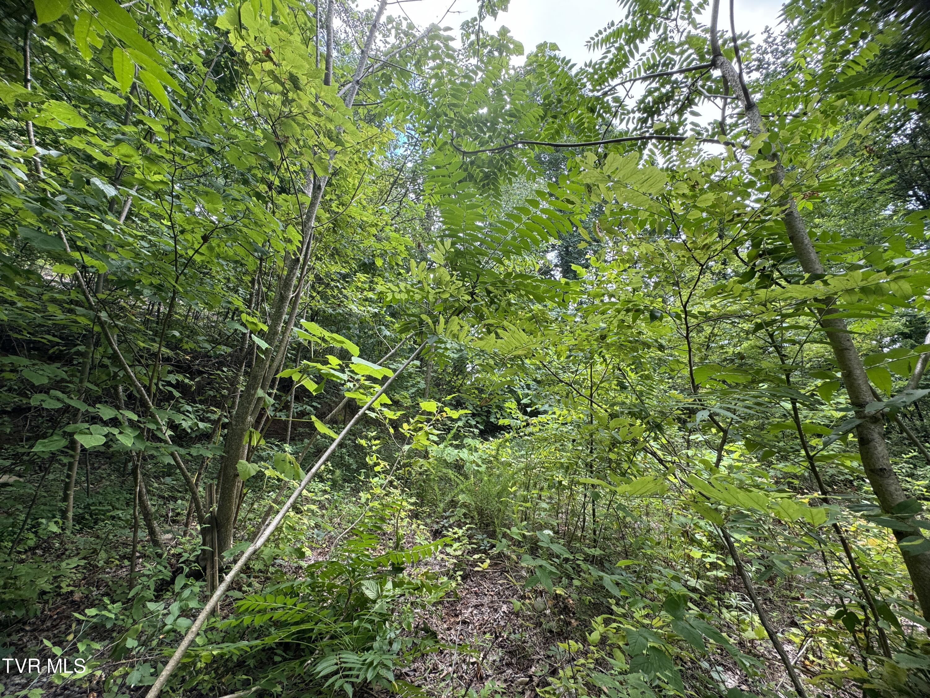 1884 Woodland Way, Newport, Tennessee image 12