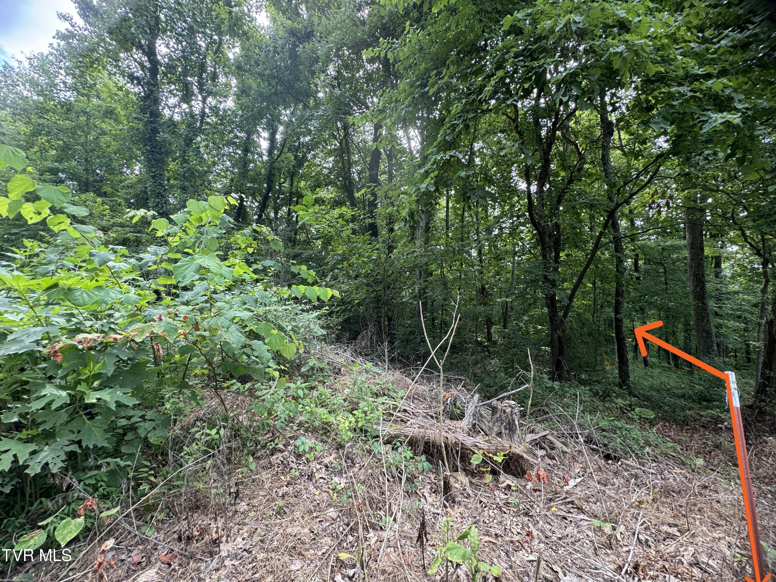 1884 Woodland Way, Newport, Tennessee image 22