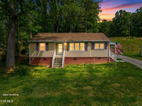 Photo of 325 Mullins Street, Kingsport, TN 37665 (MLS # 9994159)