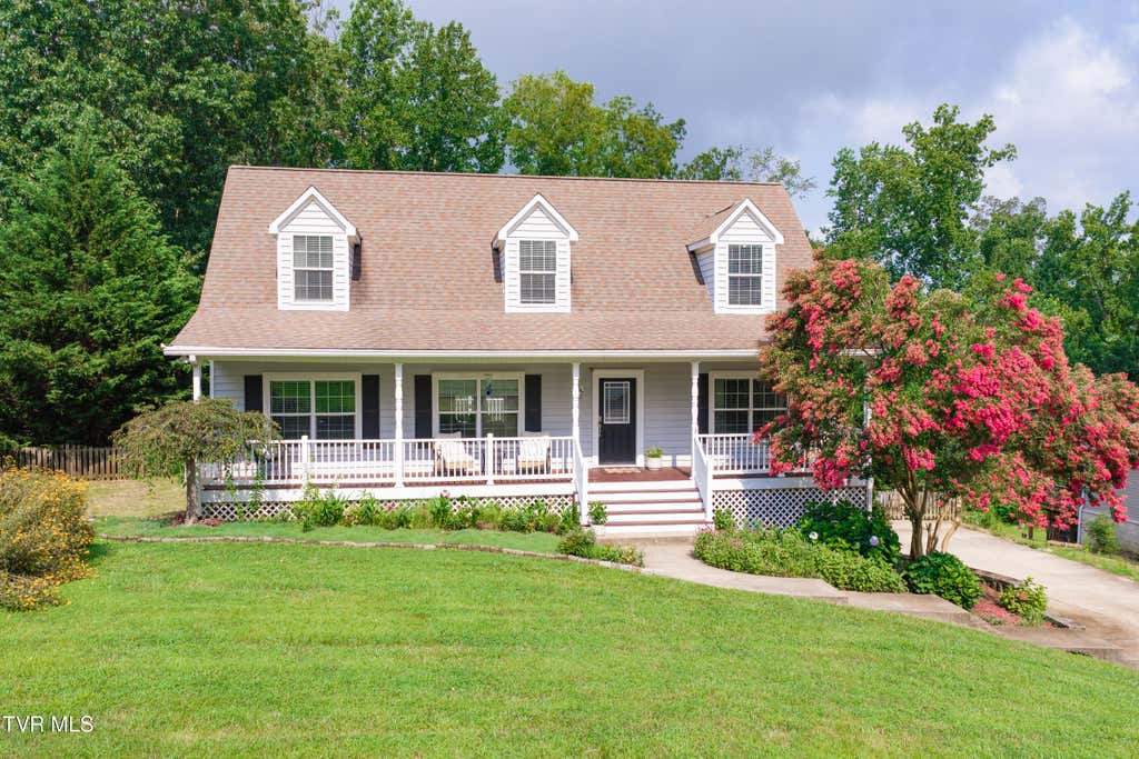 Photo of 263 Holland View Drive, Jonesborough, TN 37659 (MLS # 9998959)
