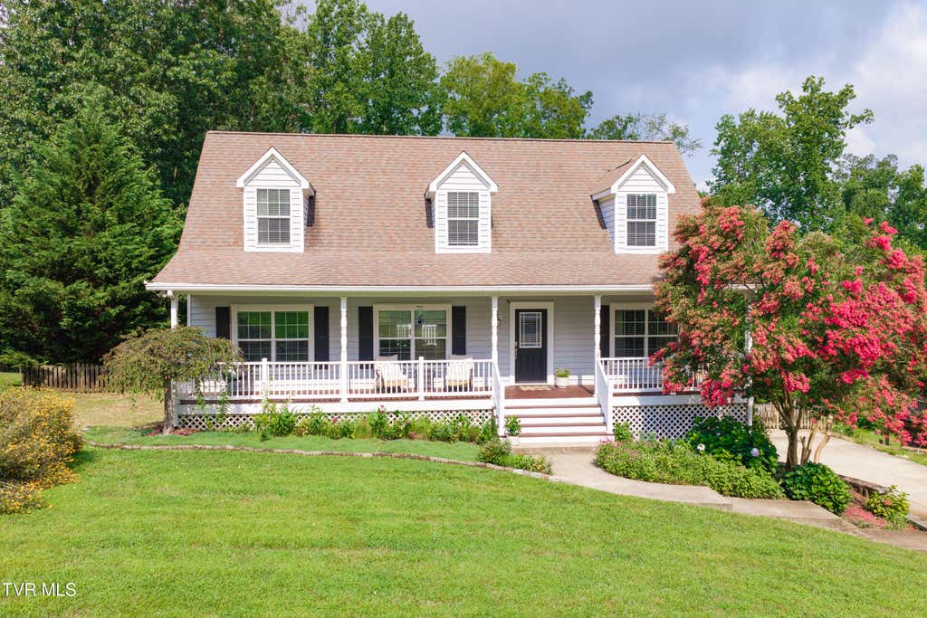 Photo of 263 Holland View Drive, Jonesborough, TN 37659 (MLS # 9998959)