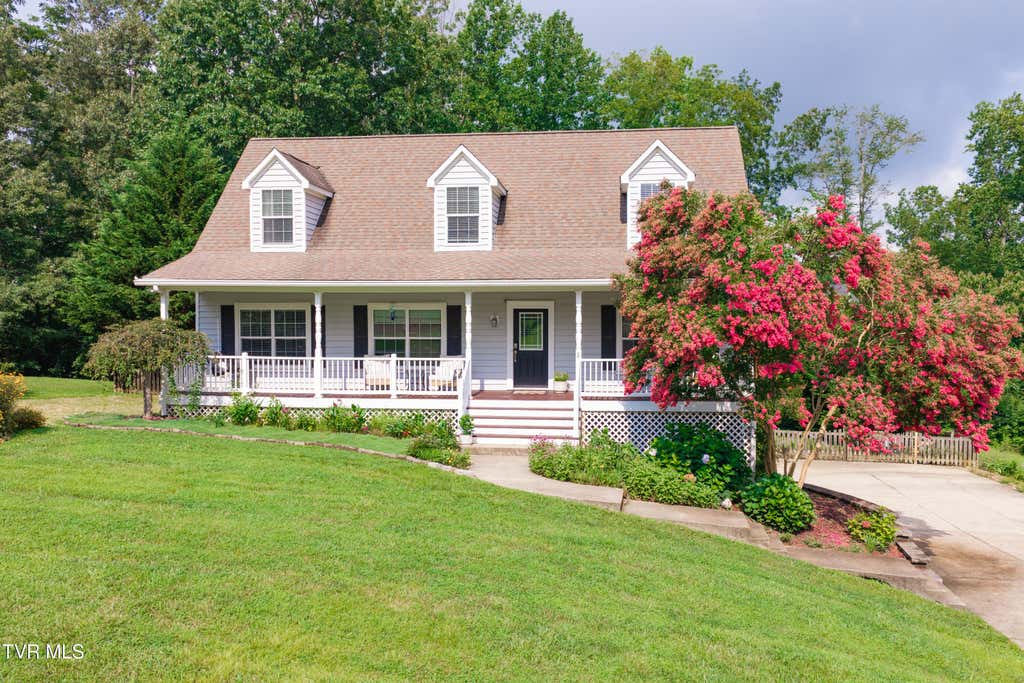 Photo of 263 Holland View Drive, Jonesborough, TN 37659 (MLS # 9998959)