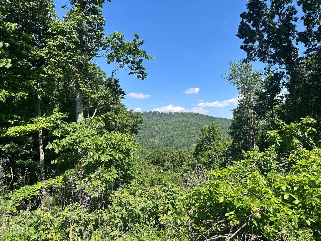 Photo of 85 Summerfield Drive, Butler, TN 37640 (MLS # 9998198)