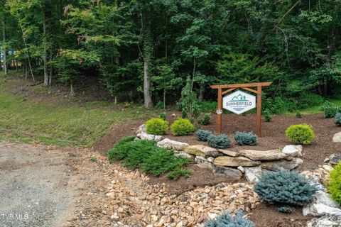 Vacant Land For Sale - LOT 85 Summerfield Drive<br/> Johnson County, Butler, TN 37640
