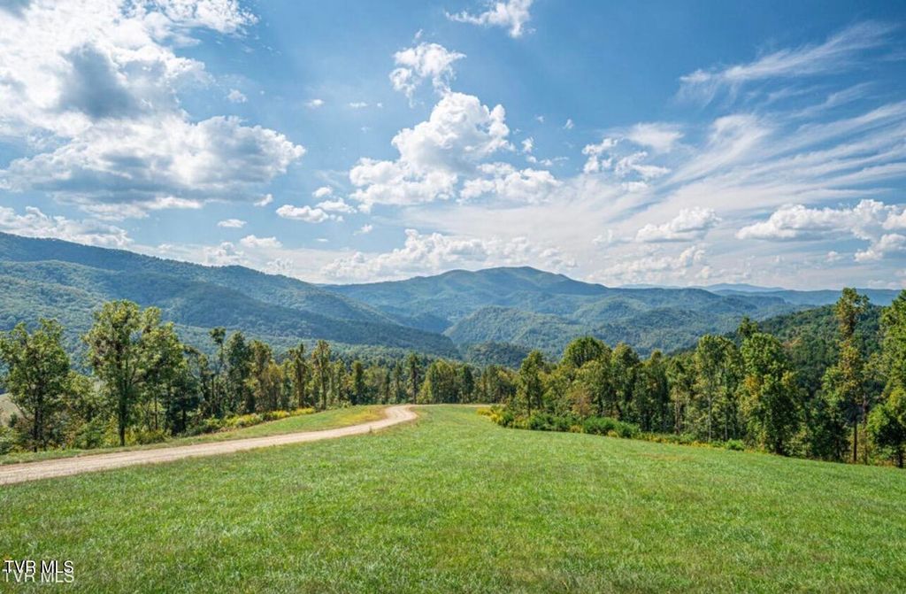 Photo of 85 Summerfield Drive, Butler, TN 37640 (MLS # 9998198)