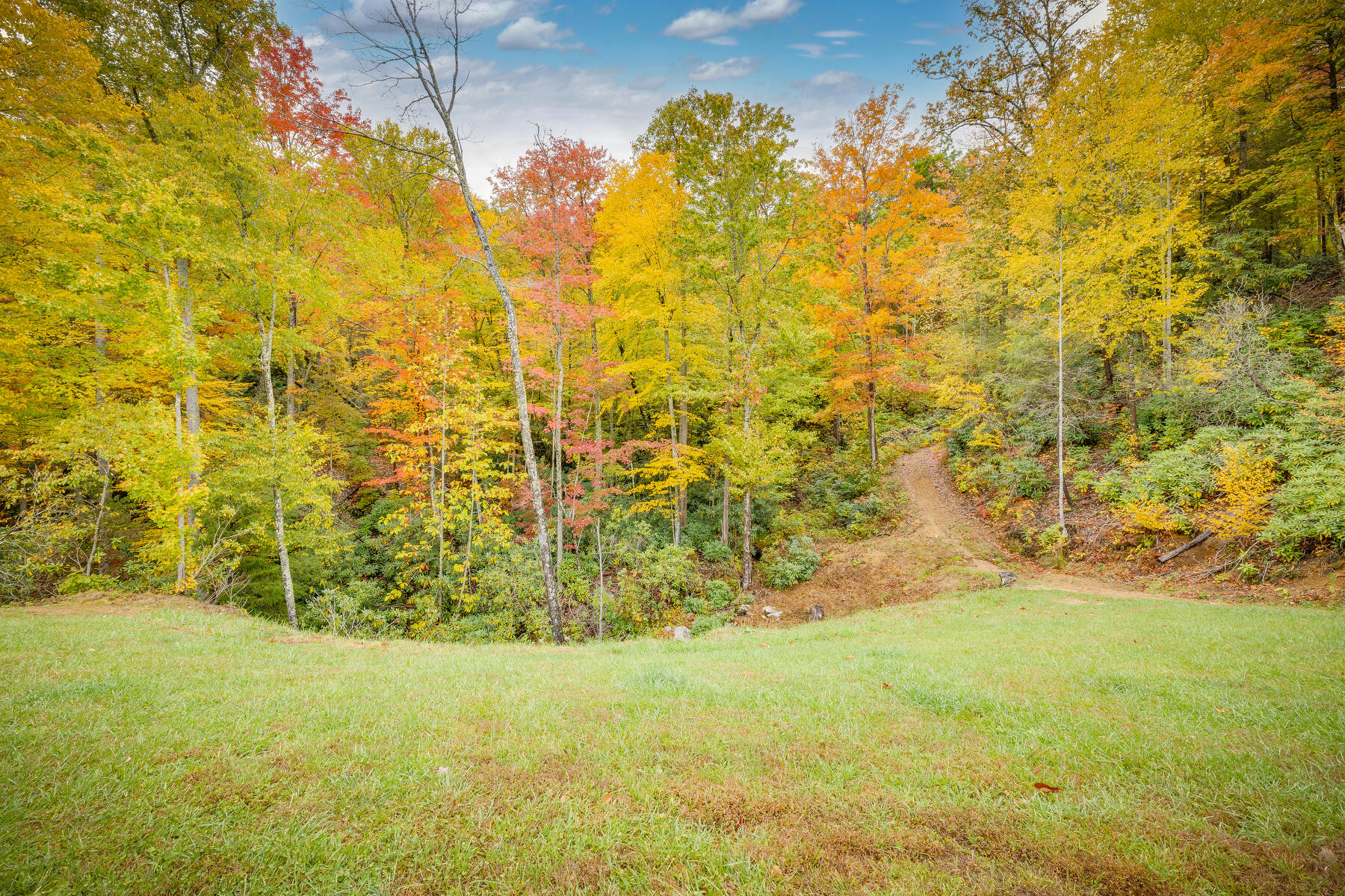 292 Old Railroad Grade Road, Roan Mountain, Tennessee image 42
