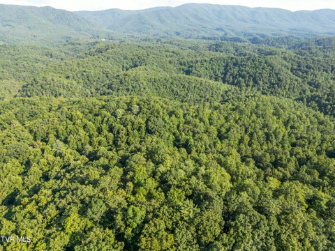 Vacant Land For Sale - TBD Patty Branch Road<br/> Bristol, TN 37620