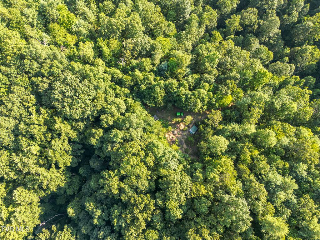 Photo of Tbd Patty Branch Road, Bristol, TN 37620 (MLS # 9983654)