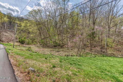 Vacant Land For Sale - 635 Harbor Springs Road<br/> Kingsport, TN 37664