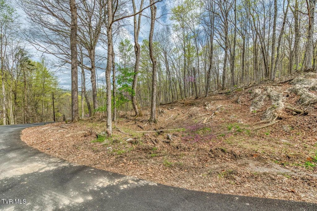 Photo of 635 Harbor Springs Road, Kingsport, TN 37664 (MLS # 9988835)