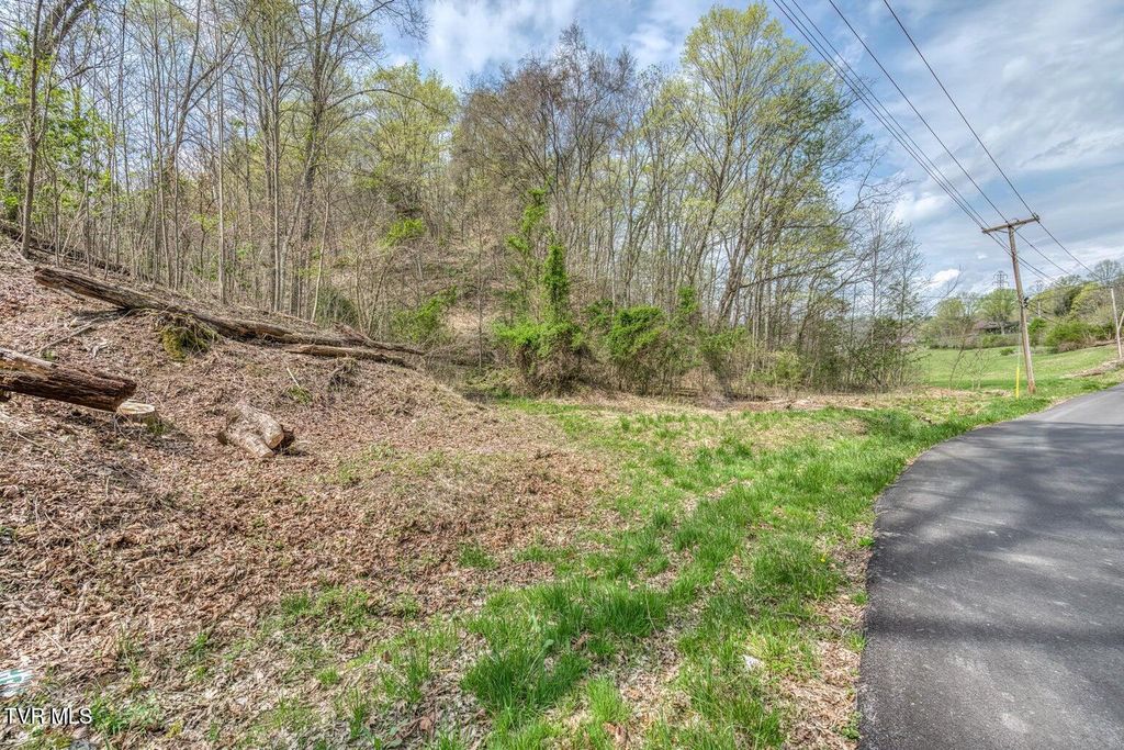 Photo of 635 Harbor Springs Road, Kingsport, TN 37664 (MLS # 9988835)