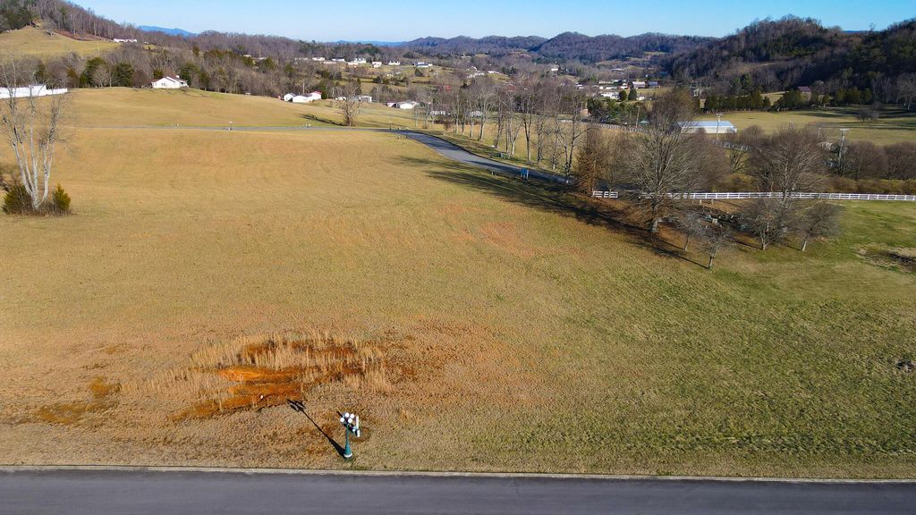 Photo of 51 Walnut Grove Drive, Church Hill, TN 37642 (MLS # 9933598)