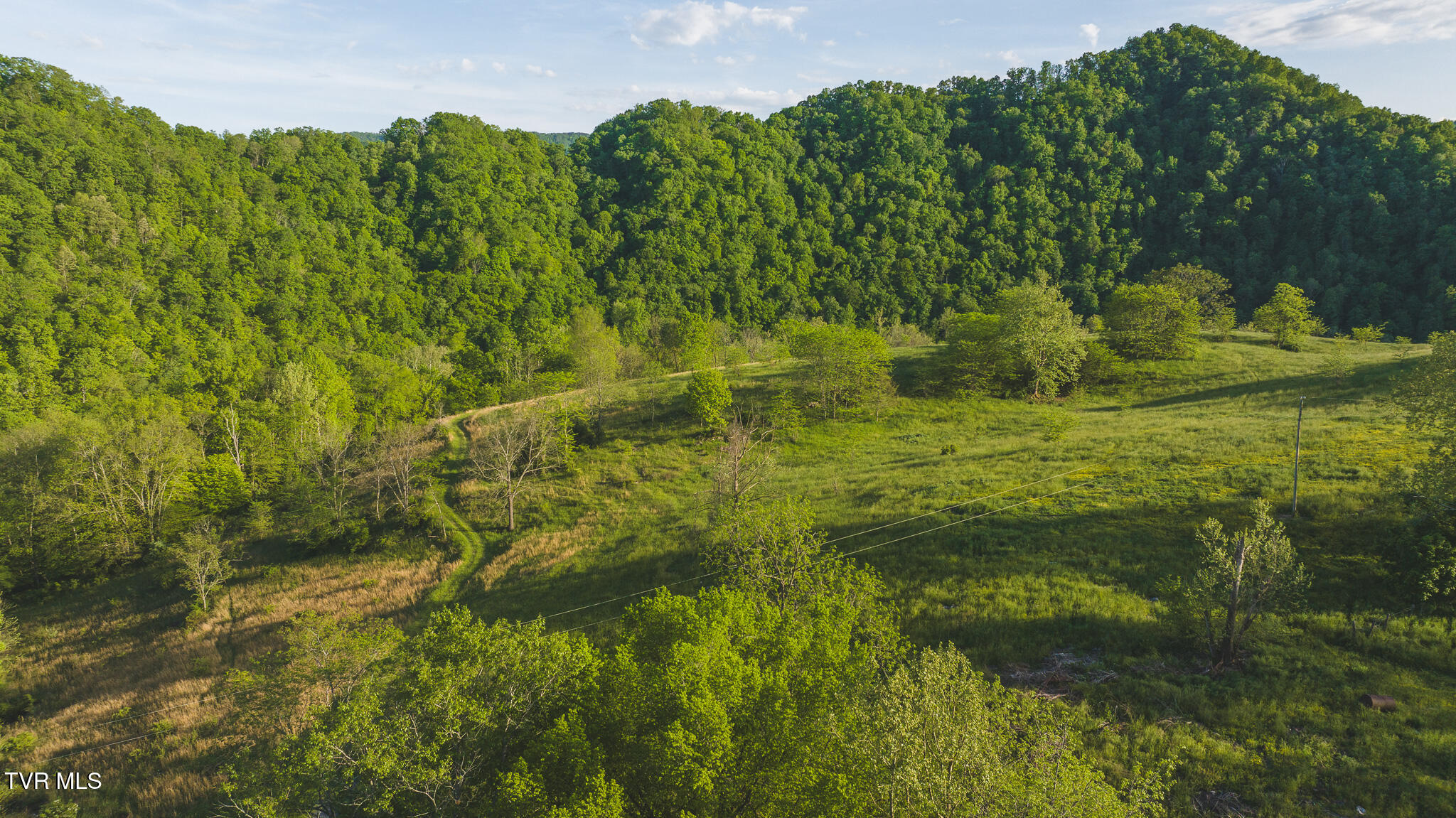 Lots 6-10 Big Springs Road, Eidson, Tennessee image 4