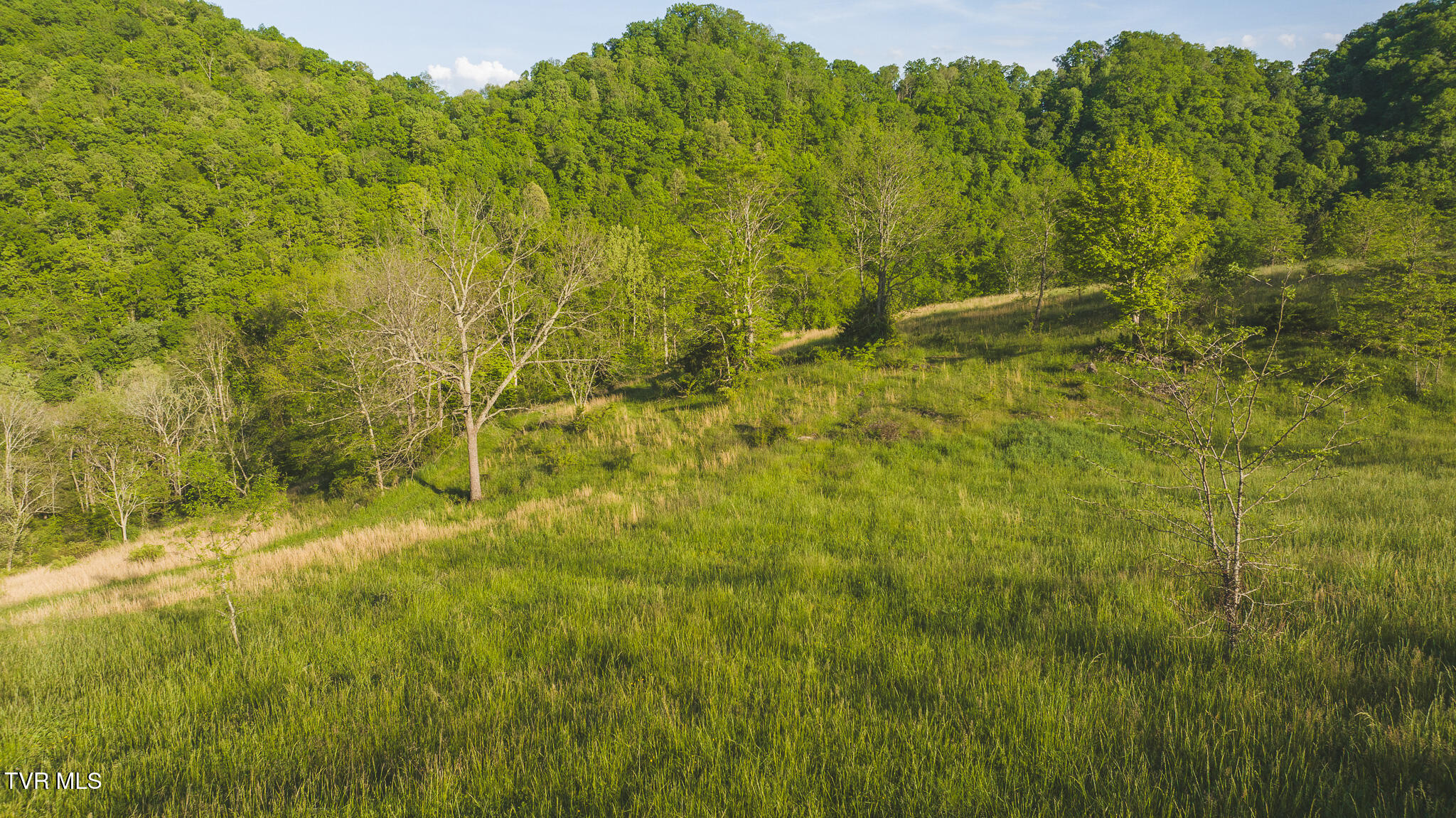 Lots 6-10 Big Springs Road, Eidson, Tennessee image 3
